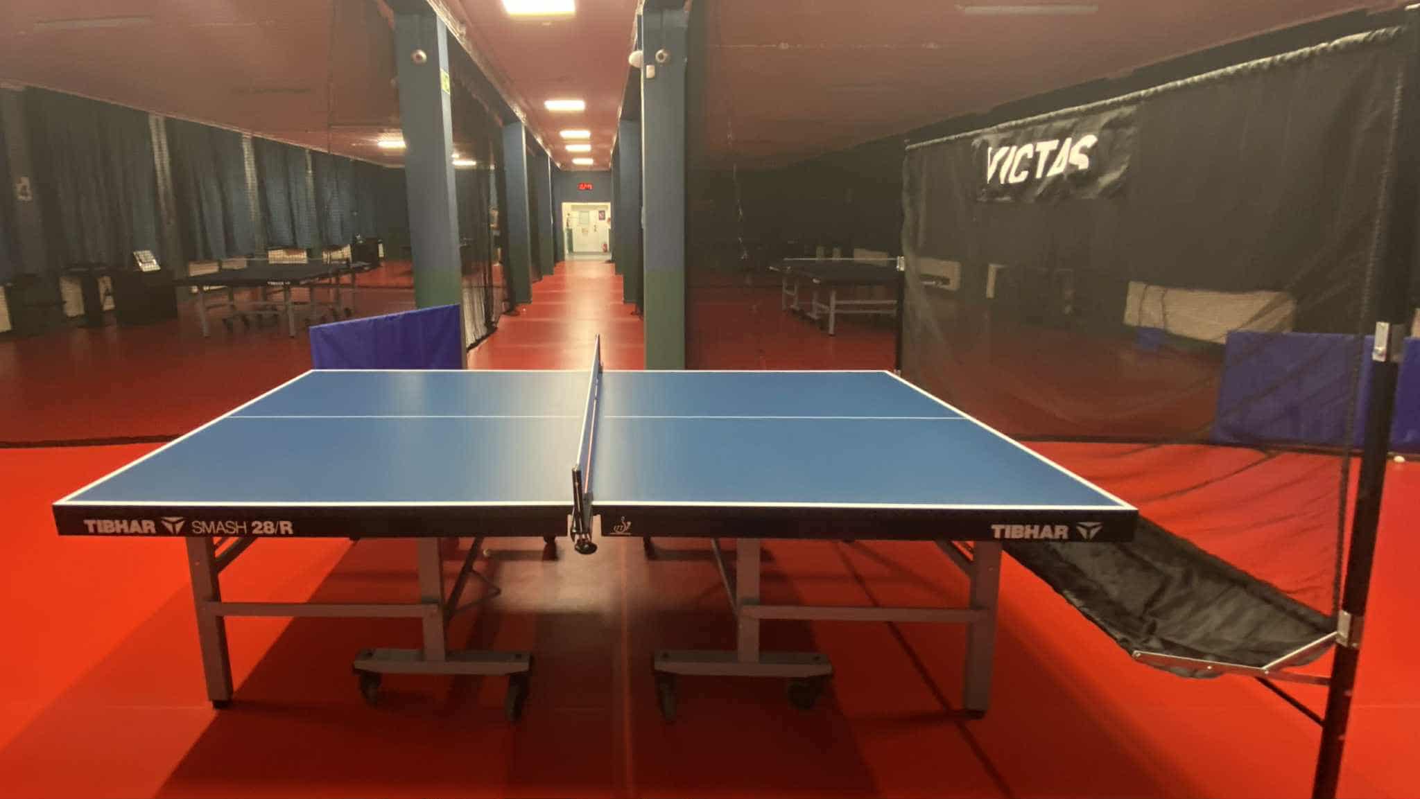 siatka do zbierania piłek